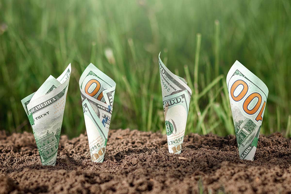 Mydollarbills- Passive Income Online