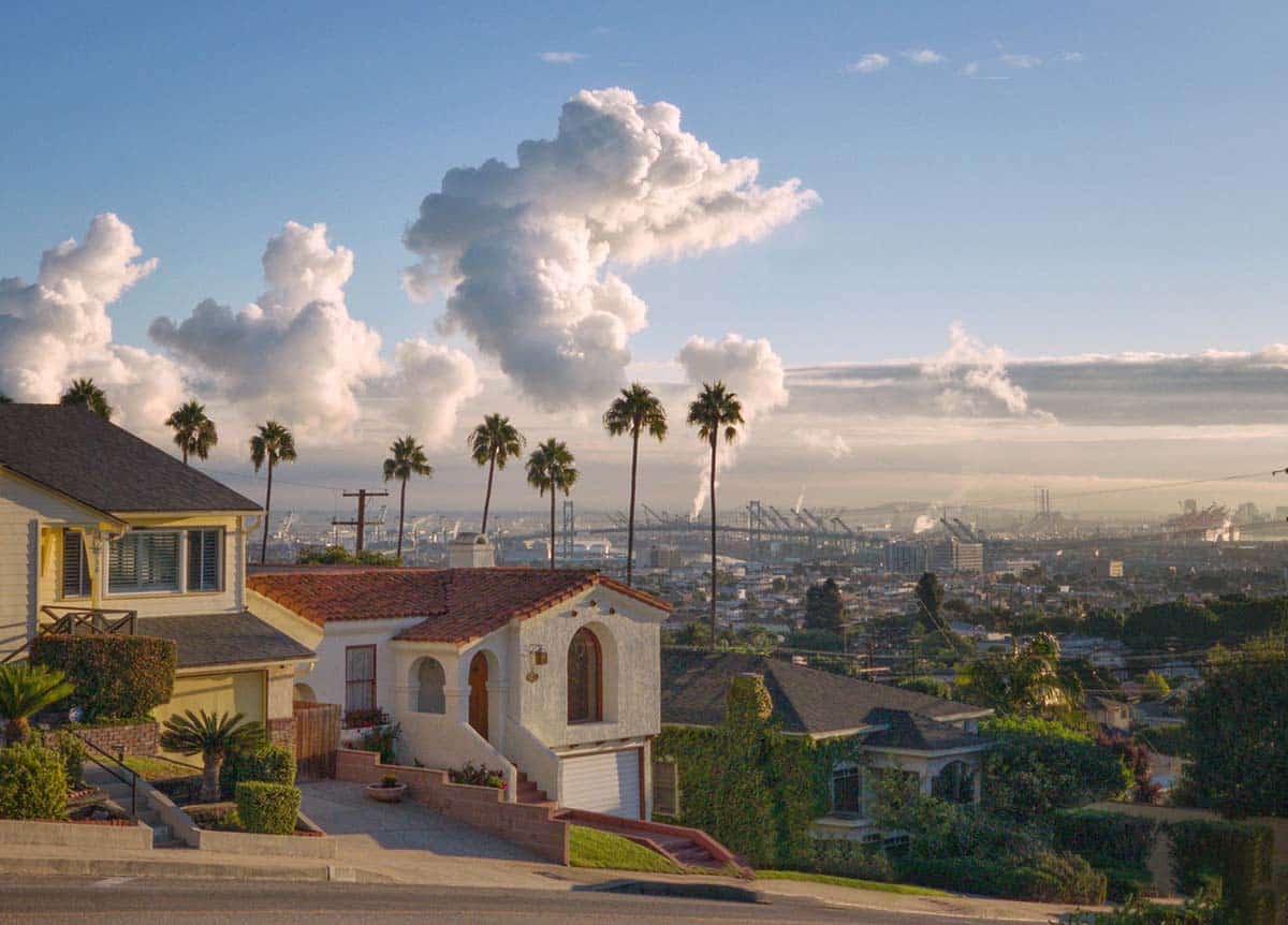 Palms and houses. How realtors make money