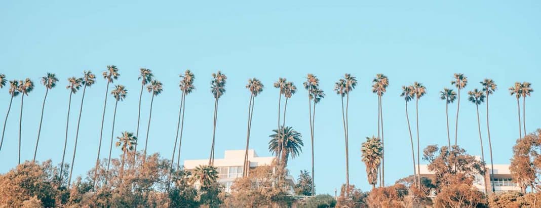 Selling a dream house with palms How much realtors make money