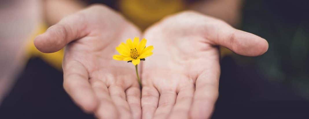 Two hands with a flower