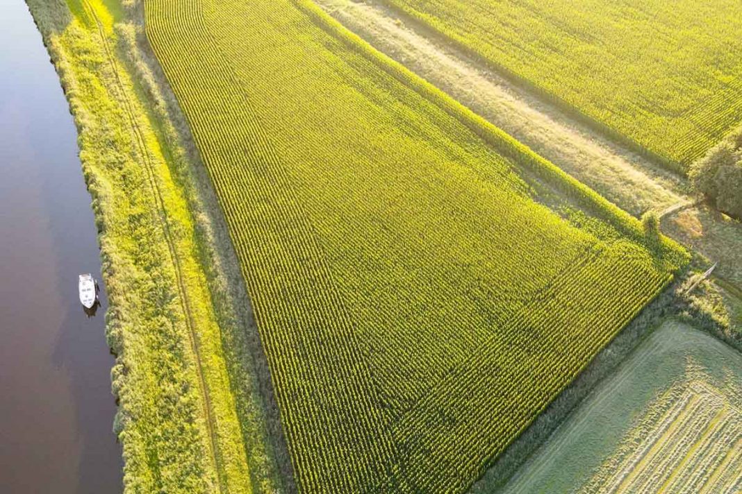An Image of a healthy Dutch landscape