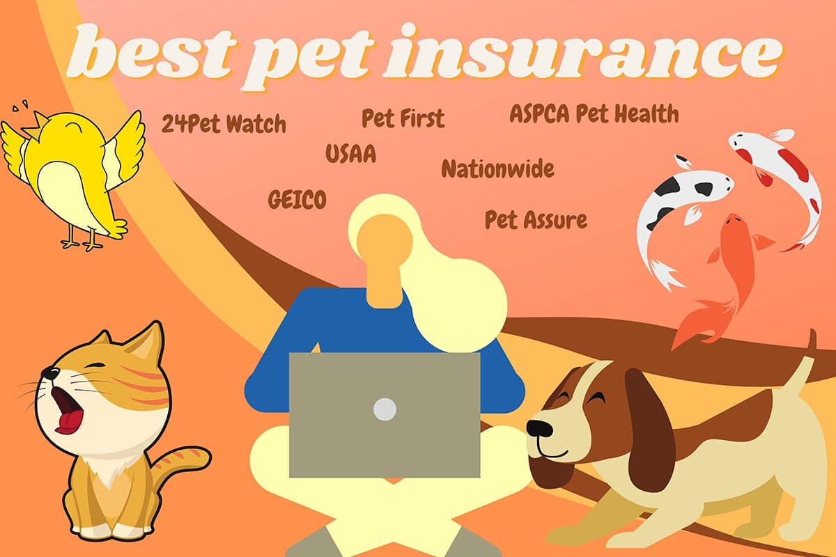Best Pet Insurance What Does Your Pet Insurance Cover?