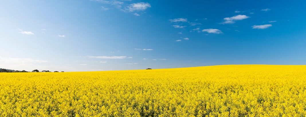 Renewable Energy Group- Mydollarbills