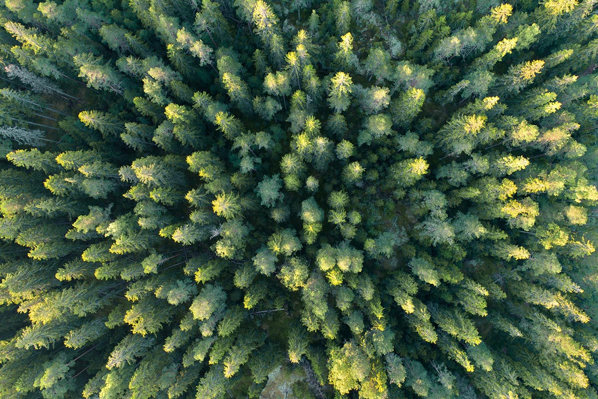 sustainable investments