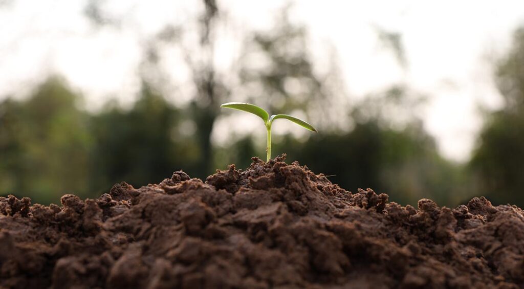 sustainable investments