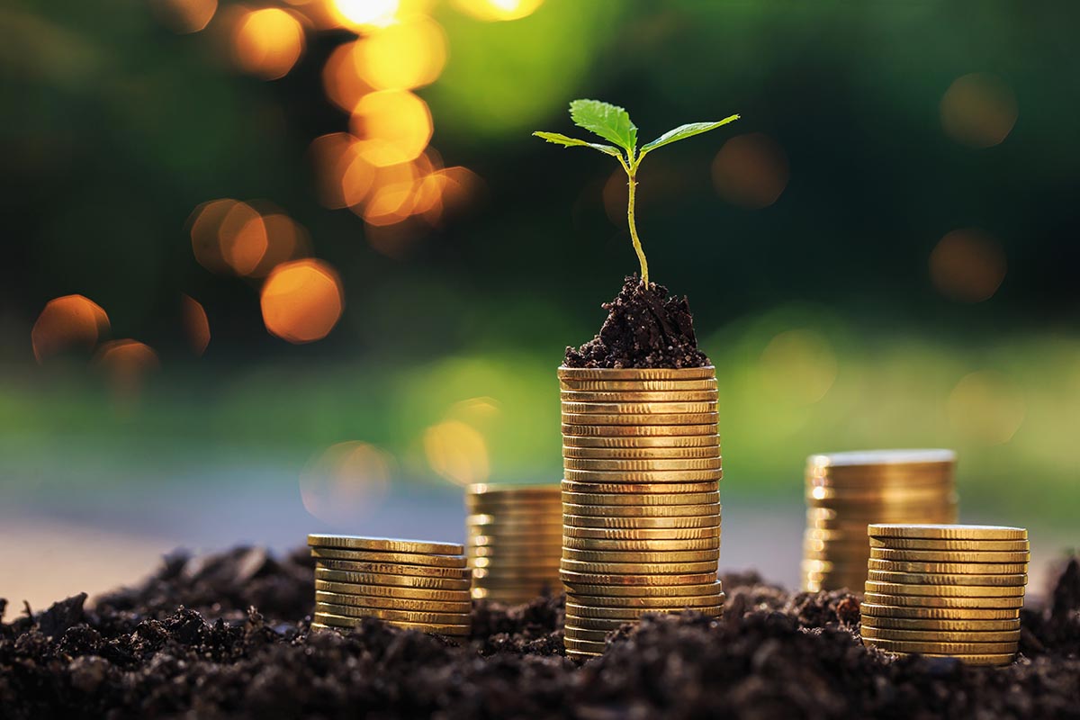 sustainable investments