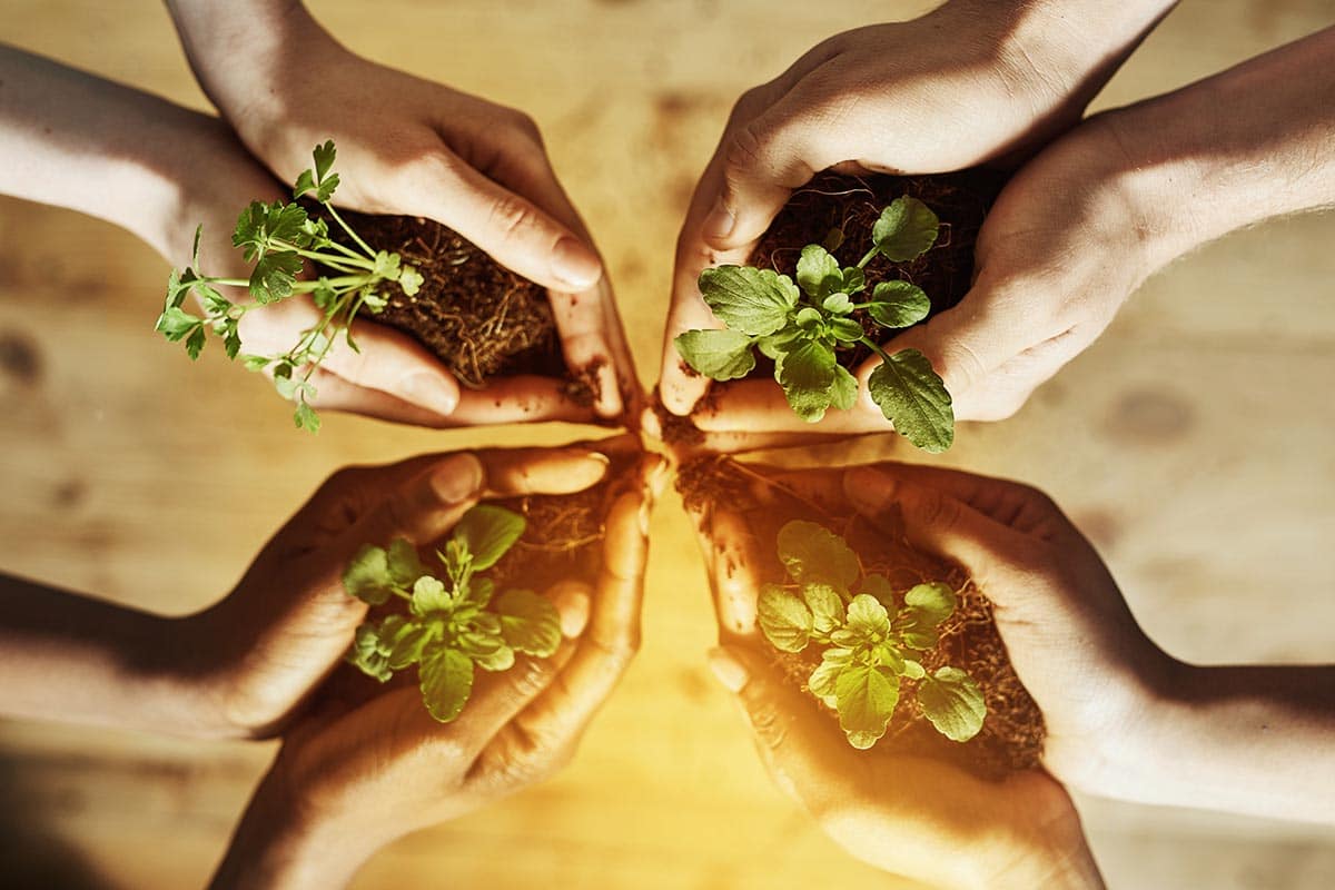 sustainable investments